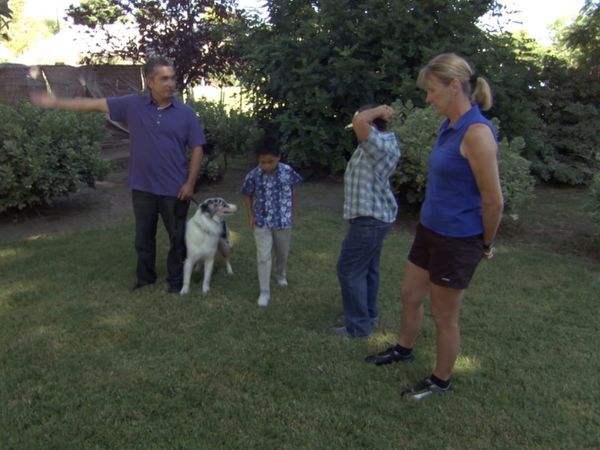 El Encantador de Perros - Especial: Celebración del episodio 100