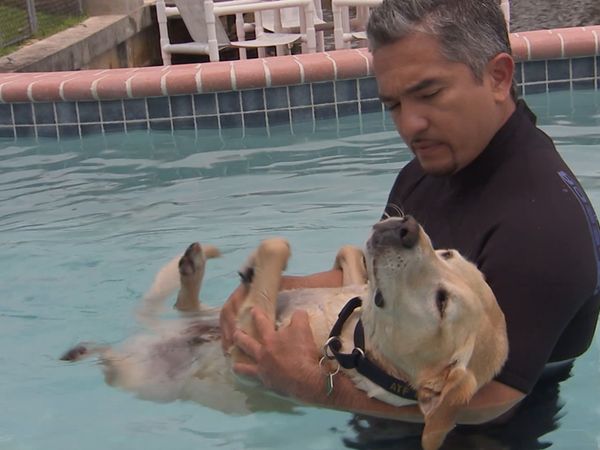 El Encantador de Perros - Perro ATF