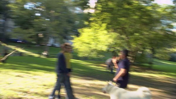 El Encantador de Perros - Pesadilla en Central Park, Bad Boy Baxter