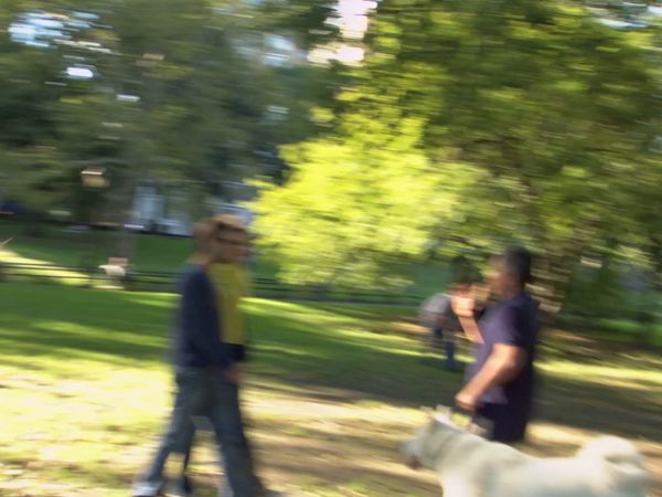 El Encantador de Perros - Pesadilla en Central Park, Bad Boy Baxter