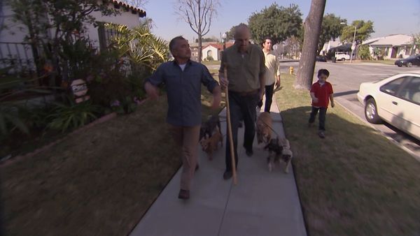 El Encantador de Perros - Miedo a los perros