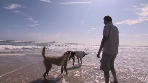 El Encantador de Perros - Bacchus & Jody