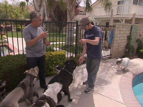 El Encantador de Perros - Cujo y Molly