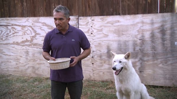 El Encantador de Perros - Hyde & Vada & Nacho