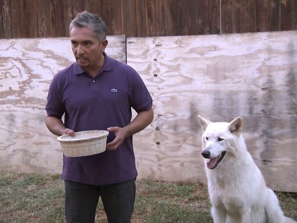 El Encantador de Perros - Hyde & Vada & Nacho