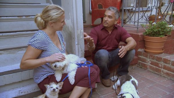 El Encantador de Perros - Stanley, Shoven & Leo