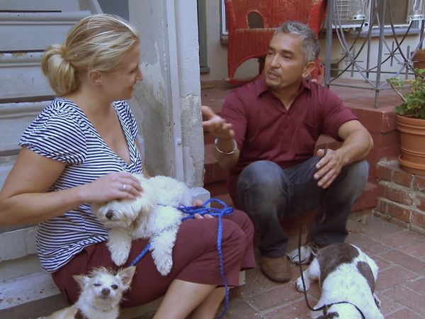 El Encantador de Perros - Stanley, Shoven & Leo
