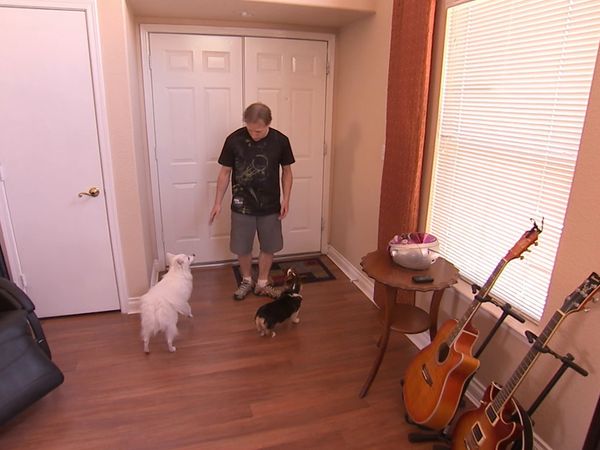 El Encantador de Perros - Cesar va a Las Vegas