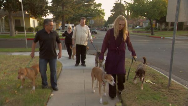 El Encantador de Perros - Varios perros y Chuy, Jack y Carmine