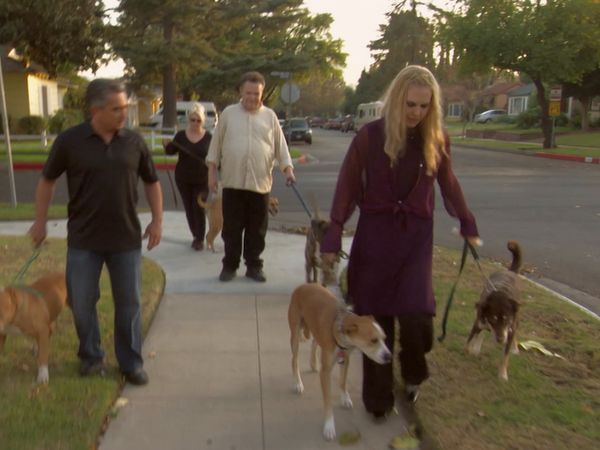 El Encantador de Perros - Varios perros y Chuy, Jack y Carmine