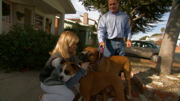 El Encantador de Perros - Cotton, Ricky y Lila & Duke