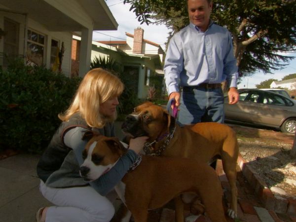 El Encantador de Perros - Cotton, Ricky y Lila & Duke
