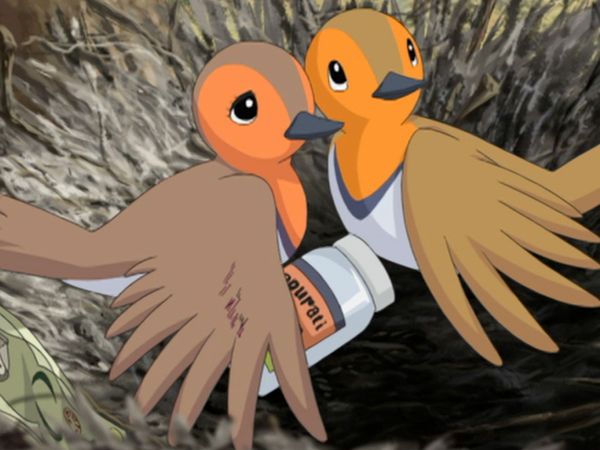 Black Jack - Robin and Boy