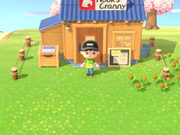 Animal Crossings - New Horizons Gameplay - Zebra Gamer - New Villagers! Meeting Stu!