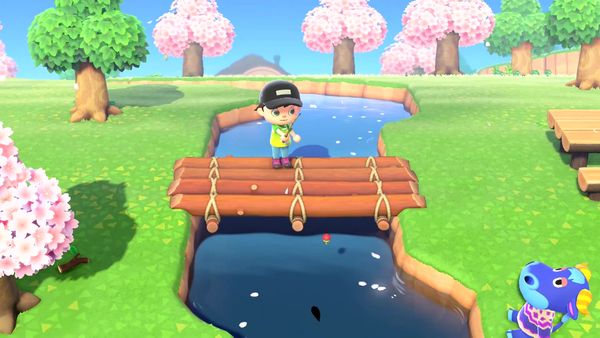 Animal Crossings - New Horizons Gameplay - Zebra Gamer - Meeting Kyle! Camp Site Open!