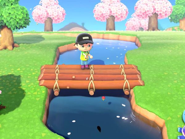 Animal Crossings - New Horizons Gameplay - Zebra Gamer - Meeting Kyle! Camp Site Open!