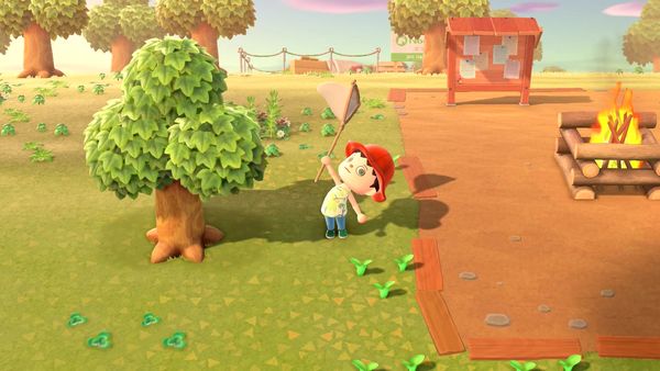 Animal Crossings - New Horizons Gameplay - Zebra Gamer - Nook Miles+! Fishing & Bug Catching!