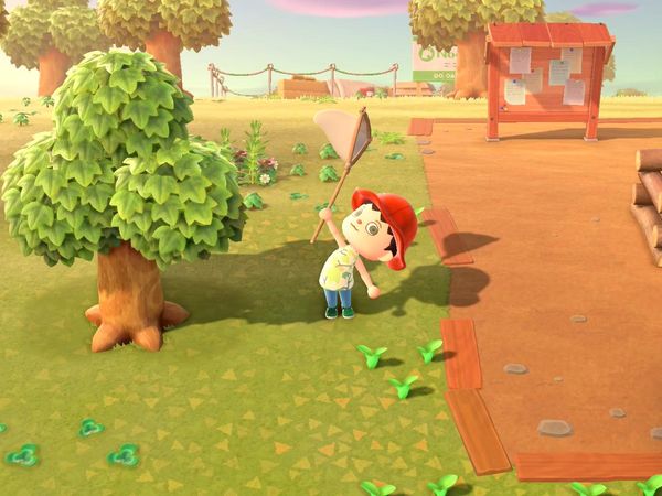 Animal Crossings - New Horizons Gameplay - Zebra Gamer - Nook Miles+! Fishing & Bug Catching!
