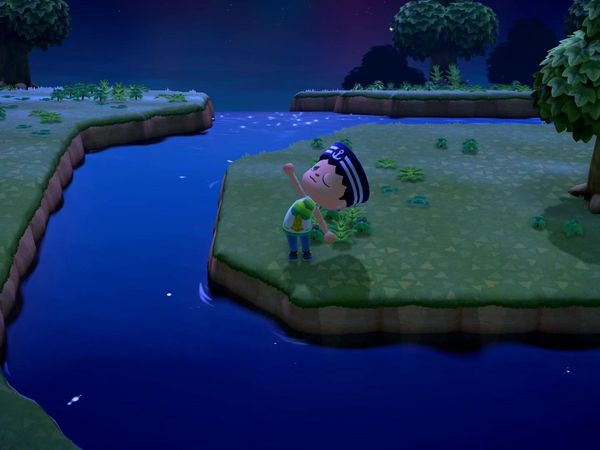 Animal Crossings - New Horizons Gameplay - Zebra Gamer - Dodo Airlines! New Islands!