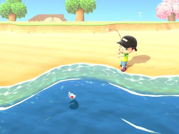 Animal Crossings - New Horizons Gameplay - Zebra Gamer - Isabelle! Resident Services Upgraded!
