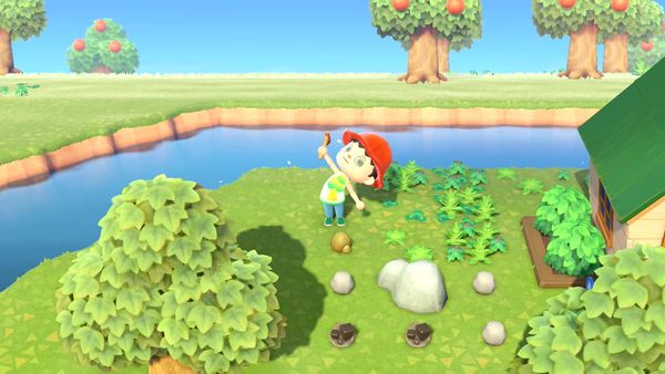 Animal Crossings - New Horizons Gameplay - Zebra Gamer - Meeting Gulliver!