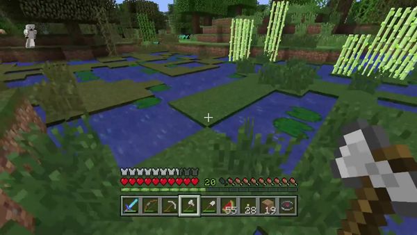 PS4 Gameplay Minecraft - Zebra Gamer - Compass
