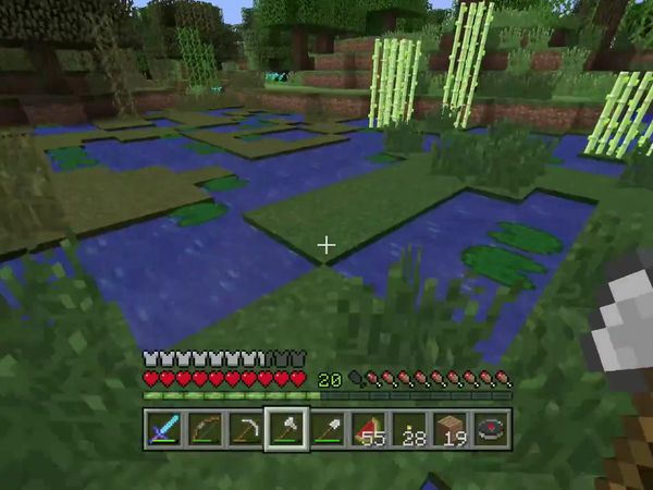 PS4 Gameplay Minecraft - Zebra Gamer - Compass
