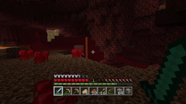 PS4 Gameplay Minecraft - Zebra Gamer - Bad Situation
