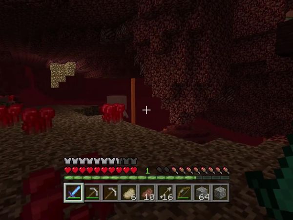 PS4 Gameplay Minecraft - Zebra Gamer - Bad Situation