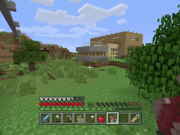 PS4 Gameplay Minecraft - Zebra Gamer - Desert Temple