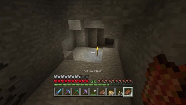 PS4 Gameplay Minecraft - Zebra Gamer - Ninja Enderman
