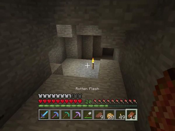 PS4 Gameplay Minecraft - Zebra Gamer - Ninja Enderman