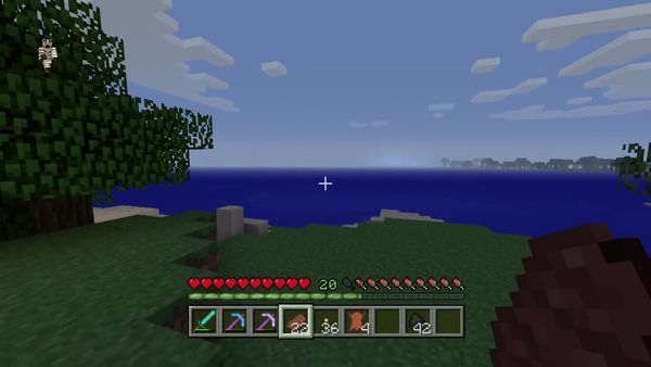 PS4 Gameplay Minecraft - Zebra Gamer - Dungeon Loot