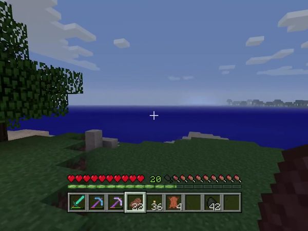 PS4 Gameplay Minecraft - Zebra Gamer - Dungeon Loot