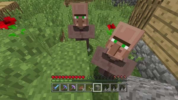 PS4 Gameplay Minecraft - Zebra Gamer - Best Village Ever