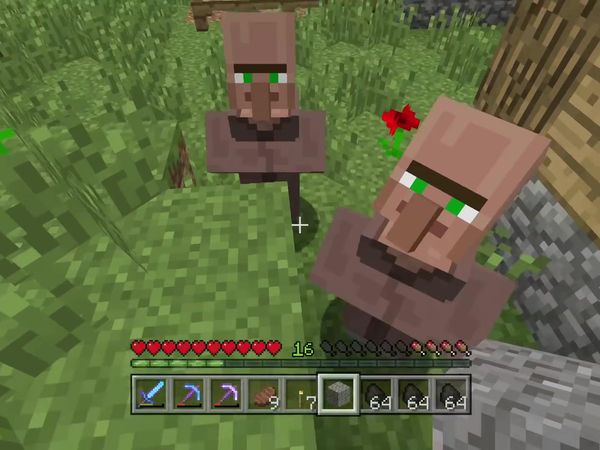 PS4 Gameplay Minecraft - Zebra Gamer - Best Village Ever