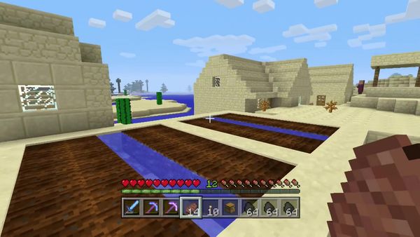 PS4 Gameplay Minecraft - Zebra Gamer - Oh No!