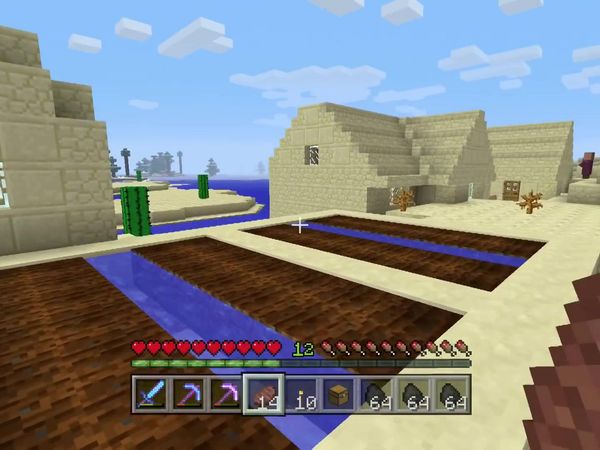 PS4 Gameplay Minecraft - Zebra Gamer - Oh No!