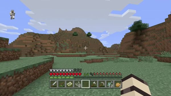 PS4 Gameplay Minecraft - Zebra Gamer - So Much Success