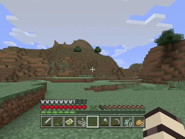 PS4 Gameplay Minecraft - Zebra Gamer - So Much Success