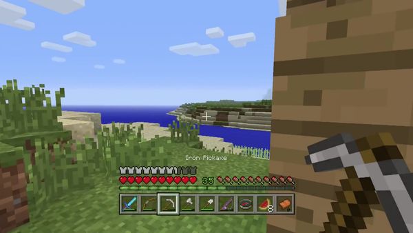 PS4 Gameplay Minecraft - Zebra Gamer - We Did It!