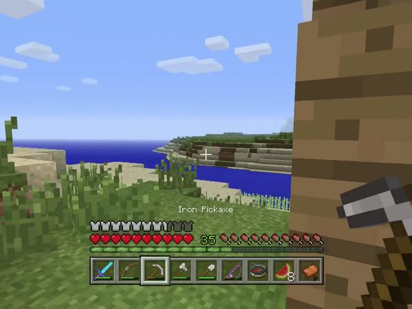 PS4 Gameplay Minecraft - Zebra Gamer - We Did It!