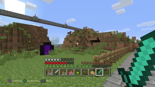 PS4 Gameplay Minecraft - Zebra Gamer - Zebra Rage
