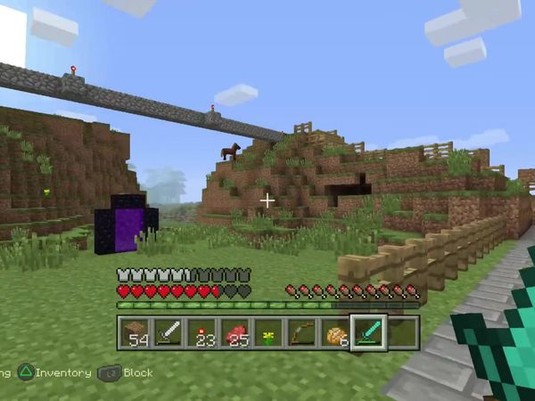 PS4 Gameplay Minecraft - Zebra Gamer - Zebra Rage