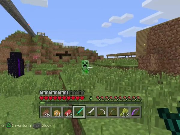 PS4 Gameplay Minecraft - Zebra Gamer - Disappearing Skeletons