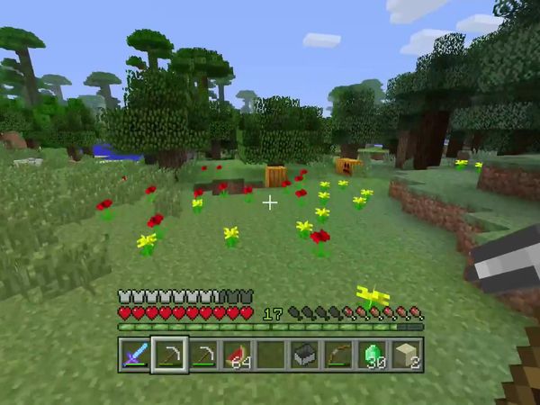 PS4 Gameplay Minecraft - Zebra Gamer - Creeper Attack