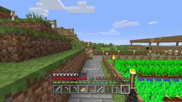 PS4 Gameplay Minecraft - Zebra Gamer - New Lands