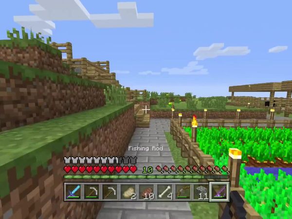 PS4 Gameplay Minecraft - Zebra Gamer - New Lands