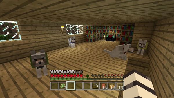 PS4 Gameplay Minecraft - Zebra Gamer - Celebration