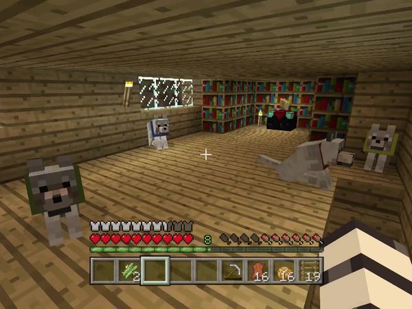 PS4 Gameplay Minecraft - Zebra Gamer - Celebration